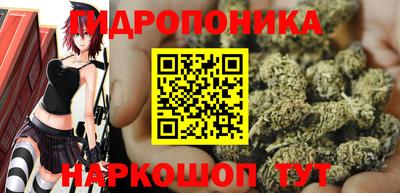 круглые Краснознаменск