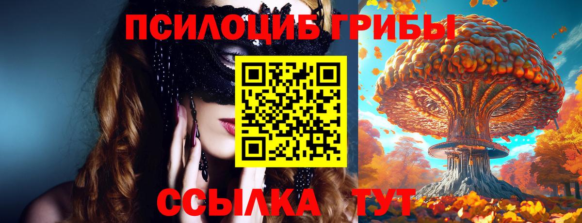Коммунар  Псилоцибиновые грибы Psilocybe  Вход с VPN 